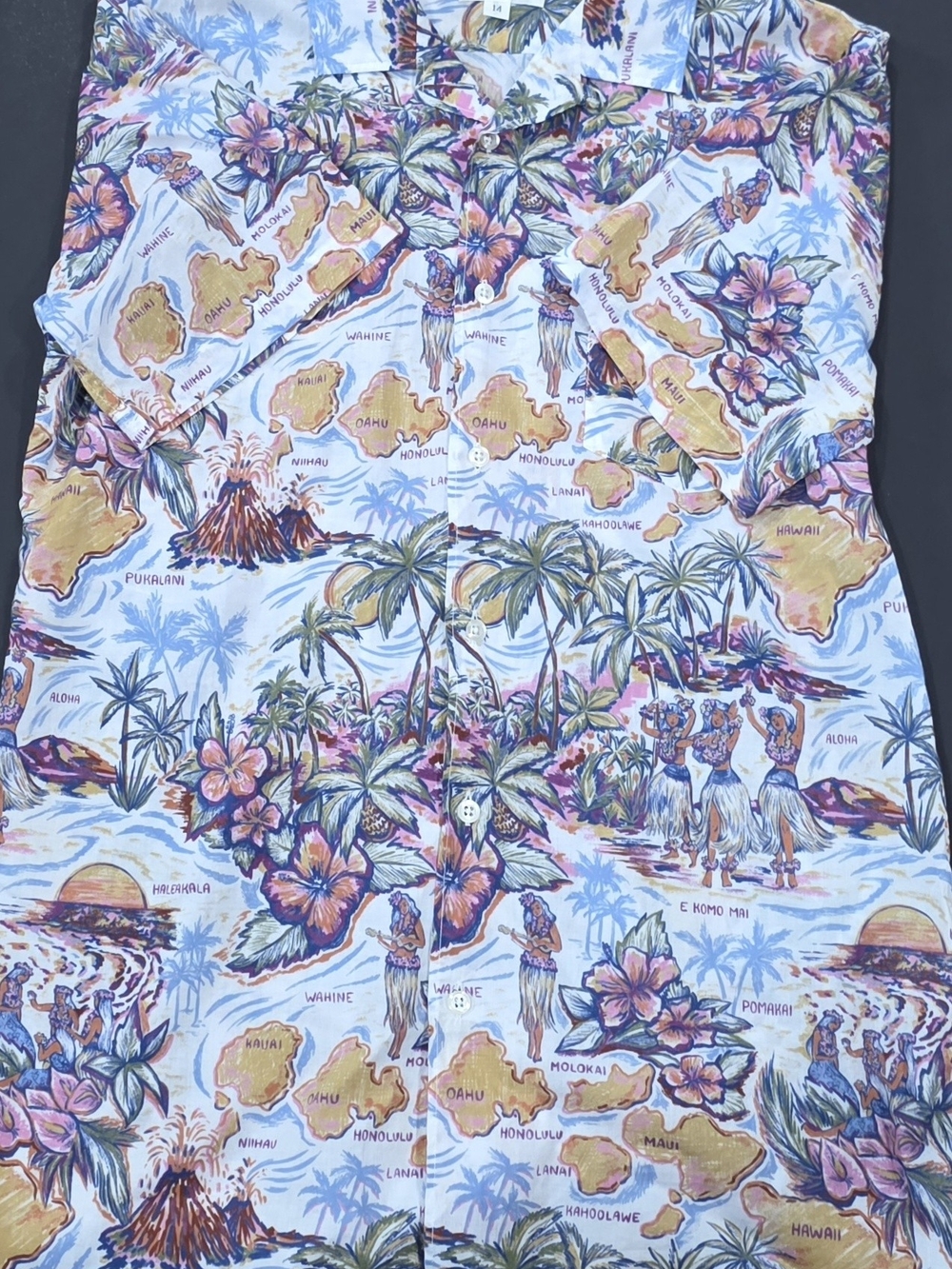 Hartford Alternative Classics Blue Floral Hawaiian Button-Down Shirt Size 14